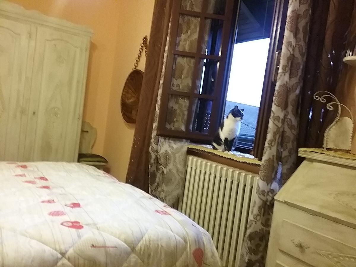 B&B La Gerbolina San Giusto Canavese Exterior photo